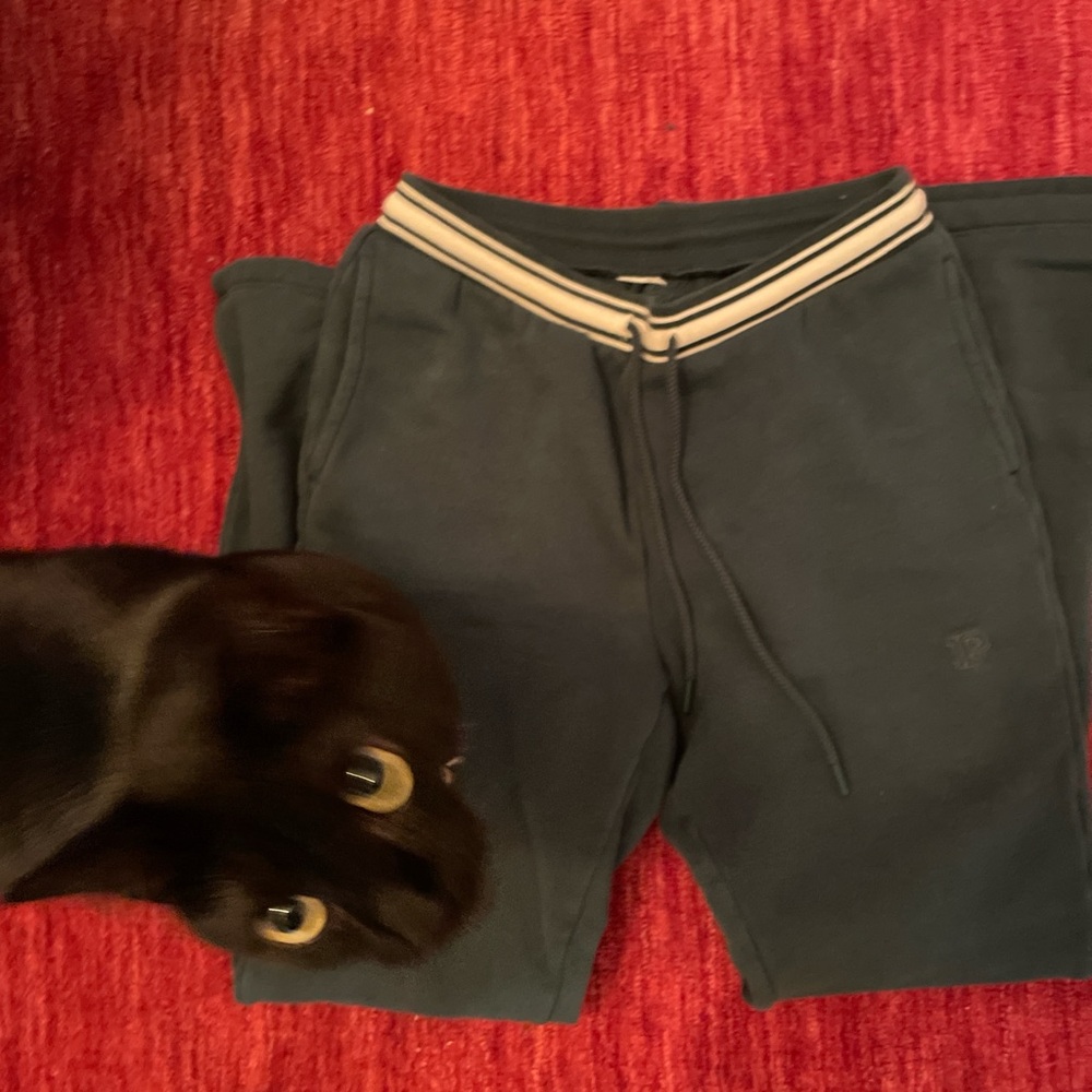 Green PINK low rise sweatpants